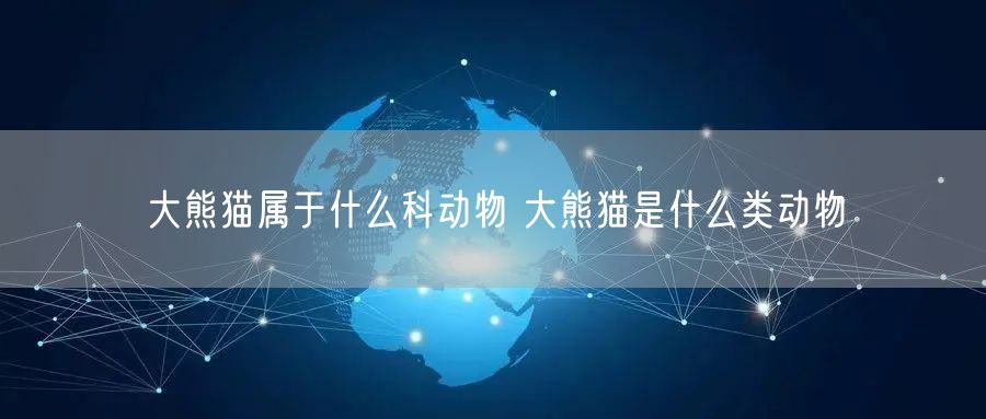 大熊猫属于什么科动物 大熊猫是什么类动物