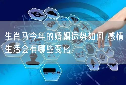 生肖马今年的婚姻运势如何 感情生活会有哪些变化