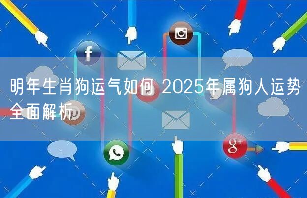 明年生肖狗运气如何 2025年属狗人运势全面解析
