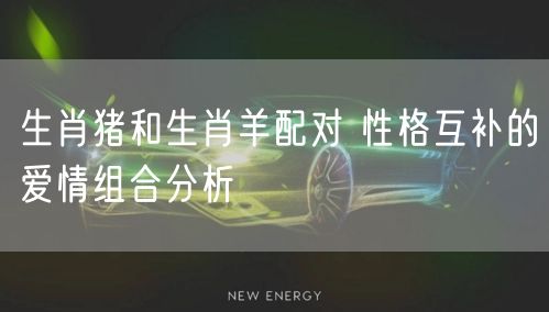 生肖猪和生肖羊配对 性格互补的爱情组合分析