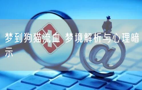 梦到狗猫流血 梦境解析与心理暗示