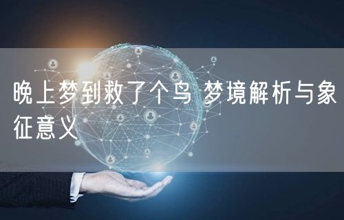 晚上梦到救了个鸟 梦境解析与象征意义