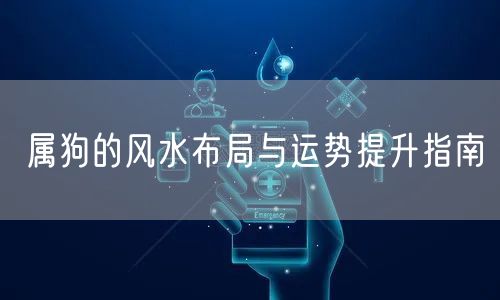 属狗的风水布局与运势提升指南