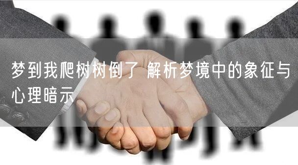 梦到我爬树树倒了 解析梦境中的象征与心理暗示