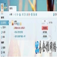 bt种子怎么用