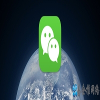 为什么注册的公众号在搜索里找不到