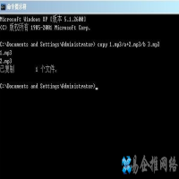 copy是什么意思