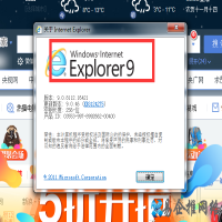 如何查看ie版本