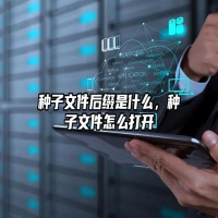 种子文件后缀是什么，种子文件怎么打开